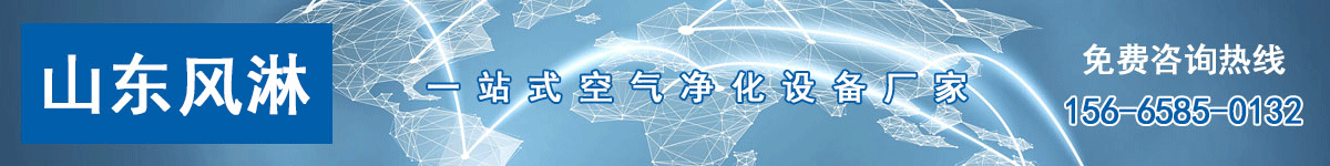 山東風淋室凈化設備廠家